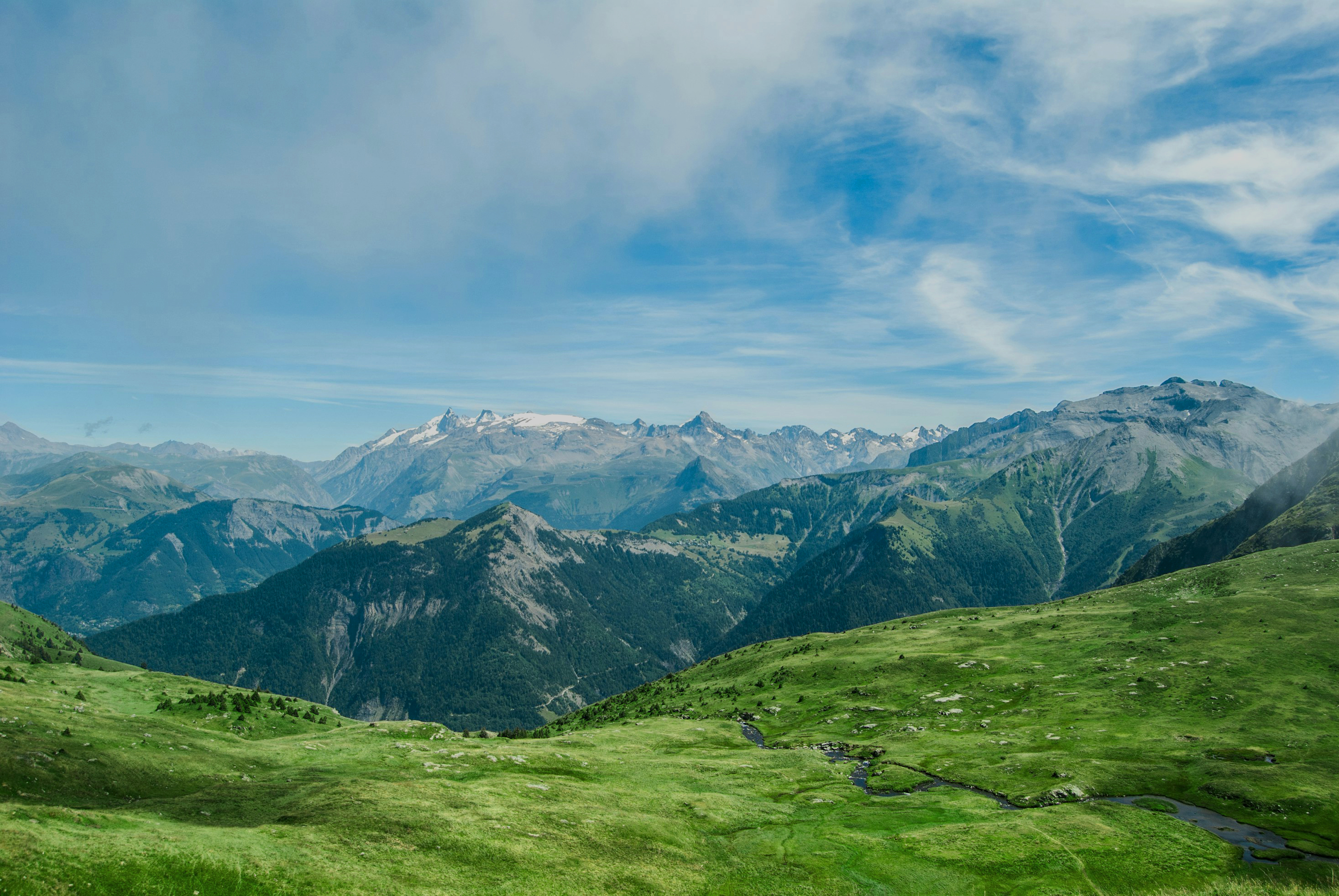 Paisatge dels Pirineus, origen de Bruna Formatges.